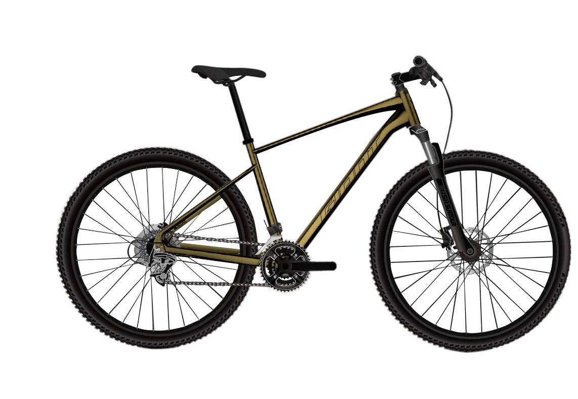 Roam 2 Disc GU Giant Bicycles India