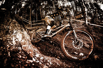 All Bikes