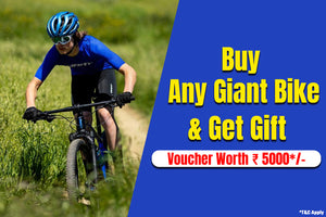 Giant bike online manufacturer