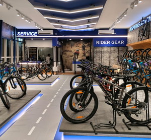 Giant sales bicycle company