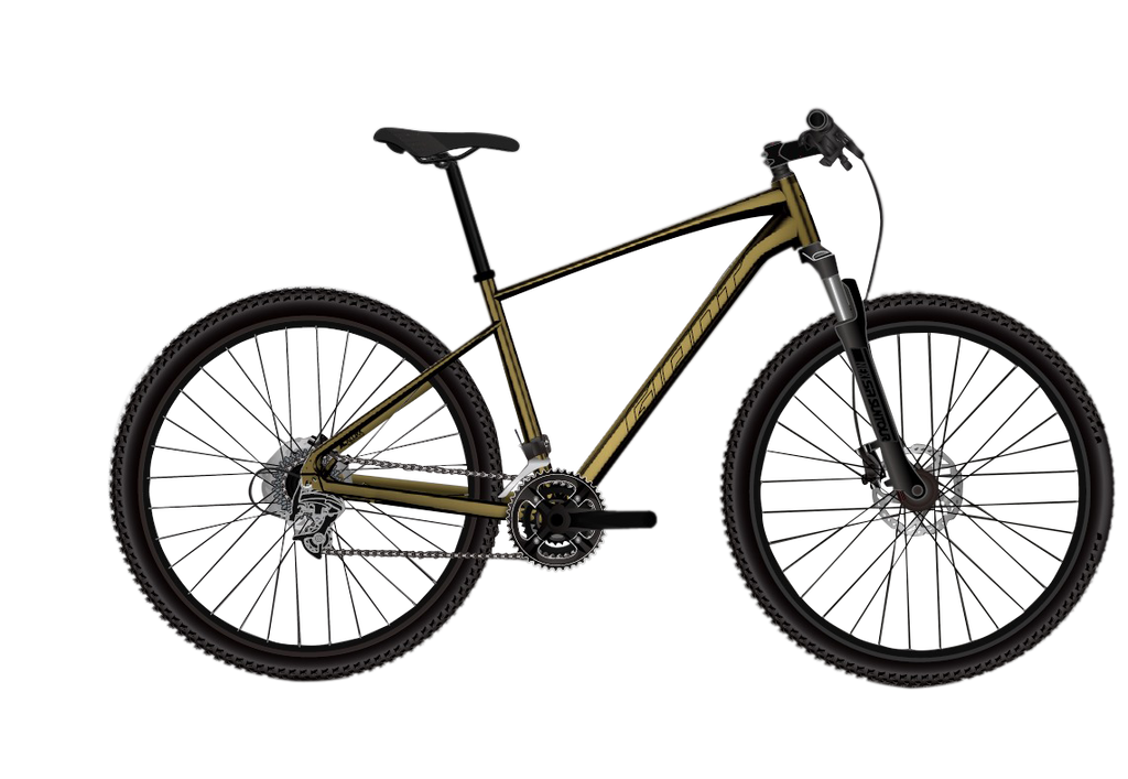 ギャイアンと Roam 2 Disc - GU – Giant Bicycles India