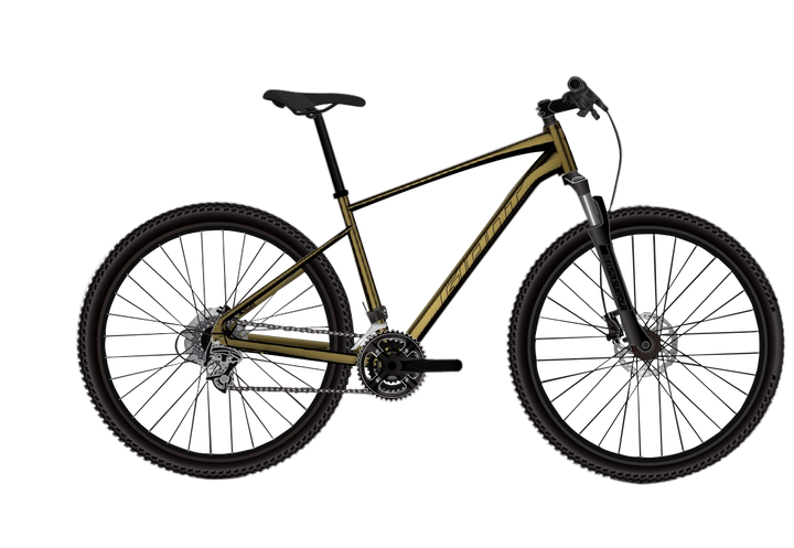 GIANT（ジャイアント）ROAM2 （ロアム 2）マウンテンバイク 管理NO