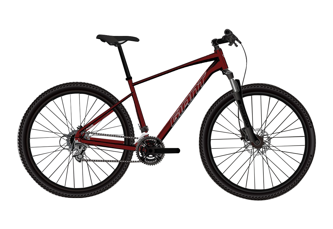 Giant roam toutous 29er