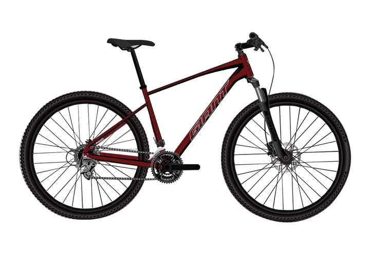 GIANT（ジャイアント）ROAM2 （ロアム 2）マウンテンバイク 管理NO