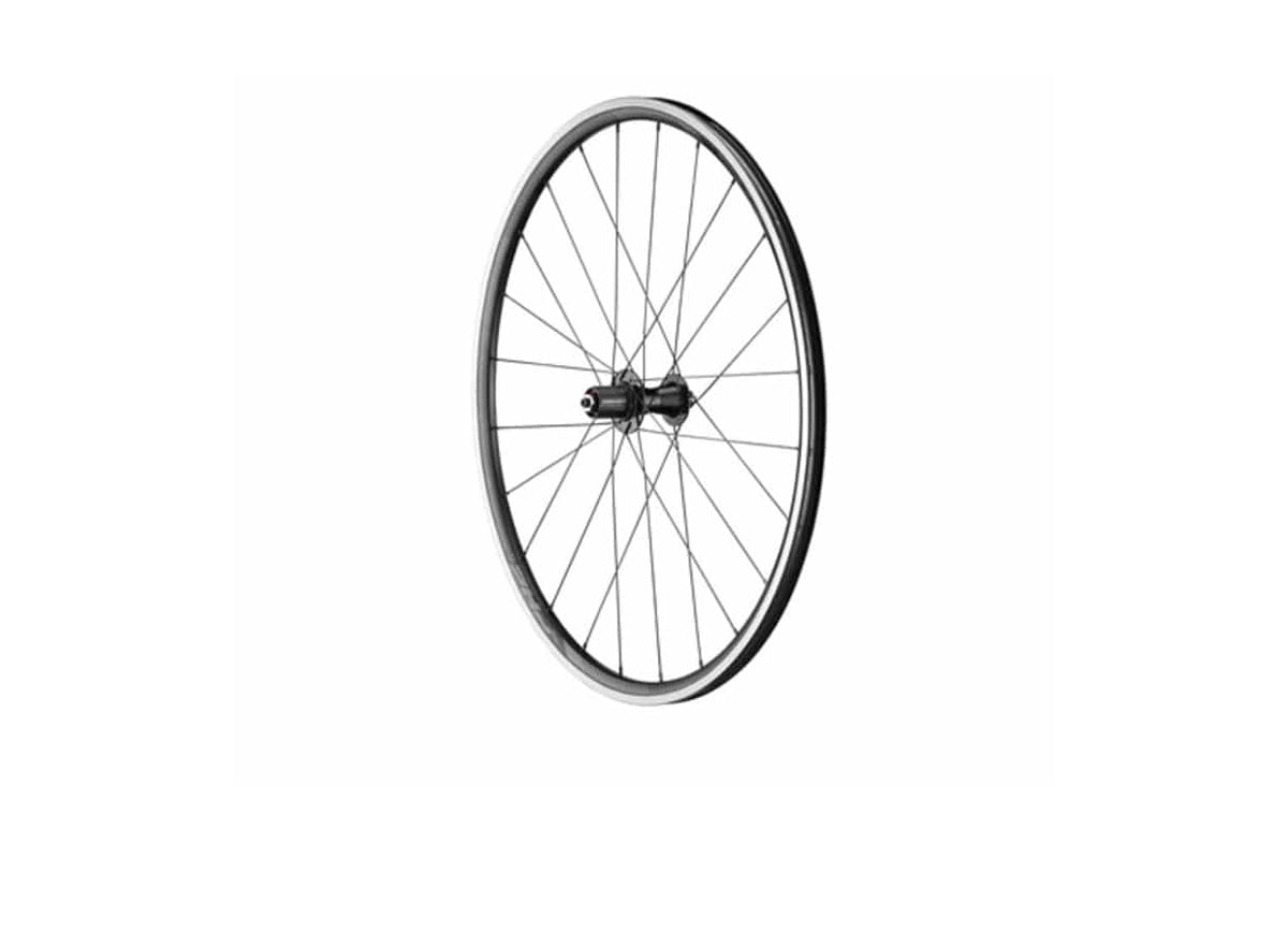 P-R2 Rim Brake Rear